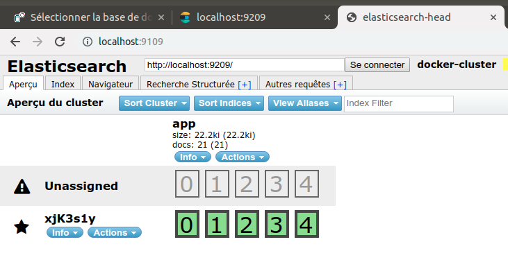 The Elasticsearch head 